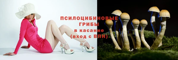 каннабис Арсеньев