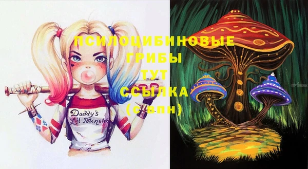 каннабис Арсеньев