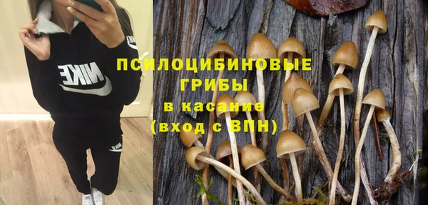 каннабис Арсеньев