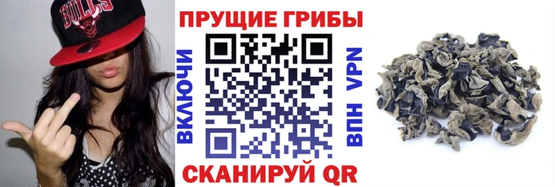Галлюциногенные грибы прущие грибы  где купить наркотик  Уварово 